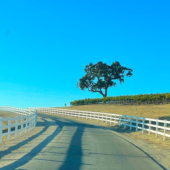 Meet your Posher, Meg! - Picture 5 of 5